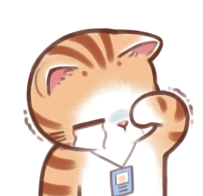 avatar mèo khóc meme 3