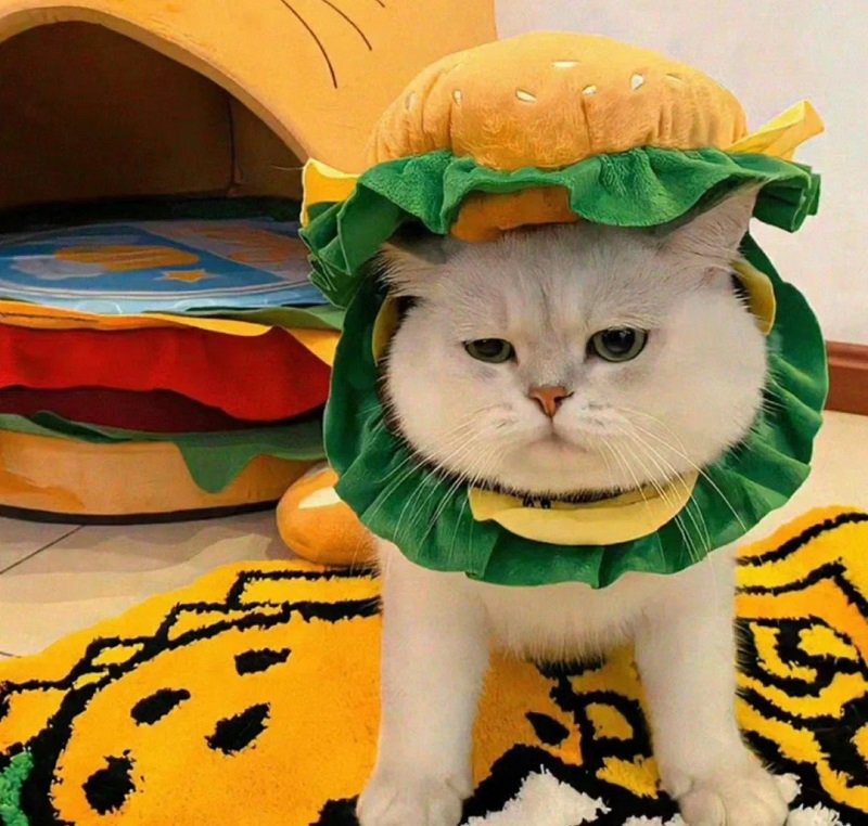 avatar mèo vô tri 5