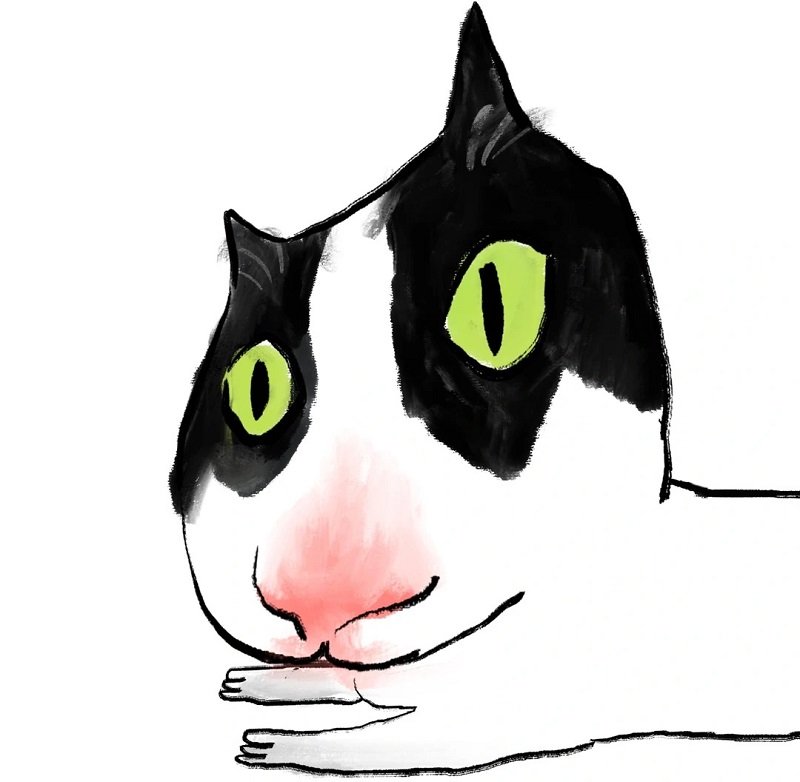 avatar mèo vô tri chibi 2