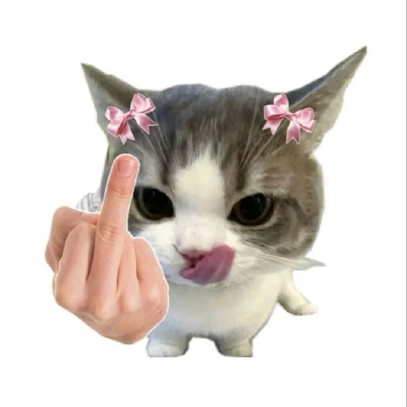 avatar mèo vô tri chibi 8