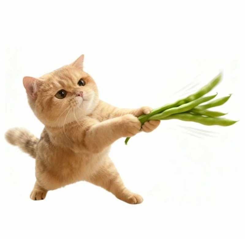 avatar mèo vô tri hài hước 7