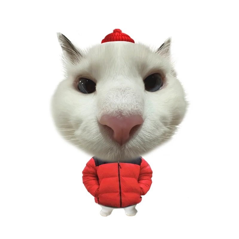 avatar mèo vô tri tết 3