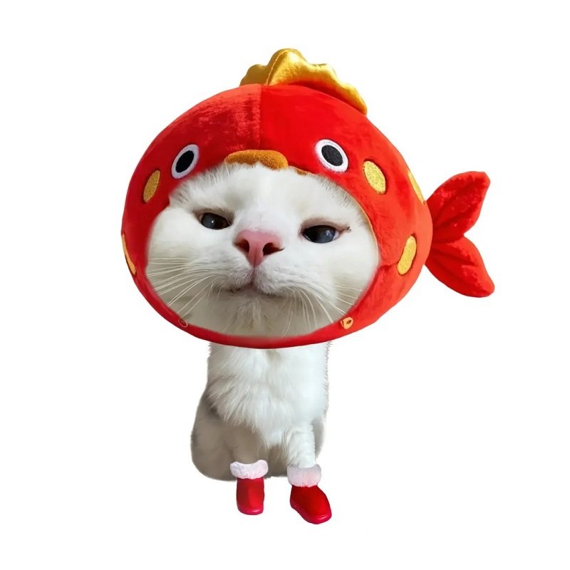 avatar mèo vô tri tết 9