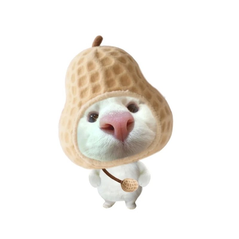 avatar nhóm 6 người nữ vô tri 15