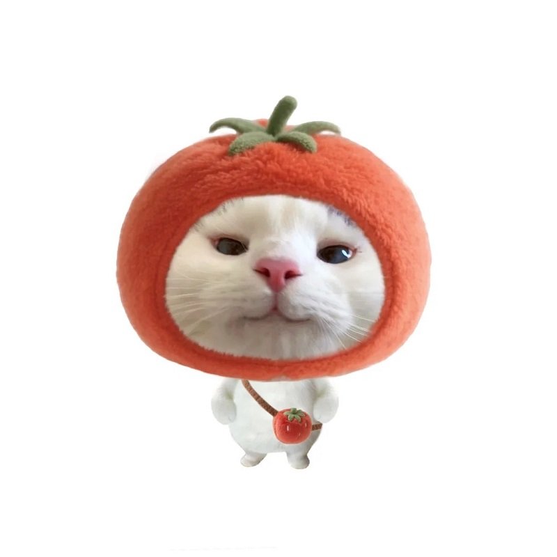 avatar nhóm 6 người nữ vô tri 16