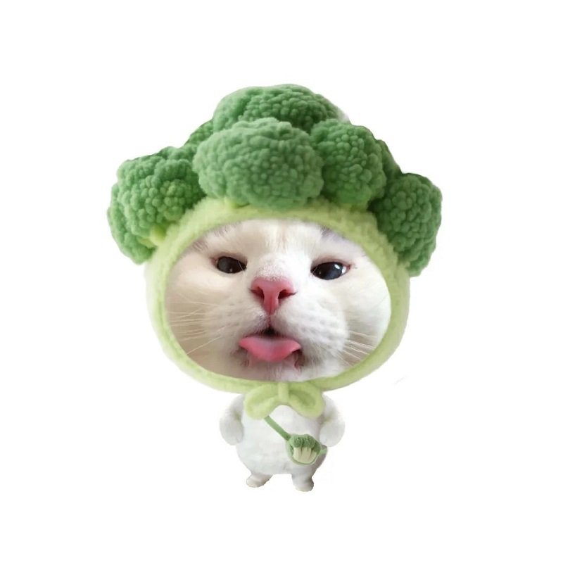 avatar nhóm 6 người nữ vô tri 17