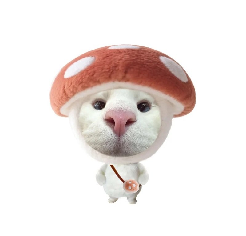 avatar nhóm 6 người nữ vô tri 18