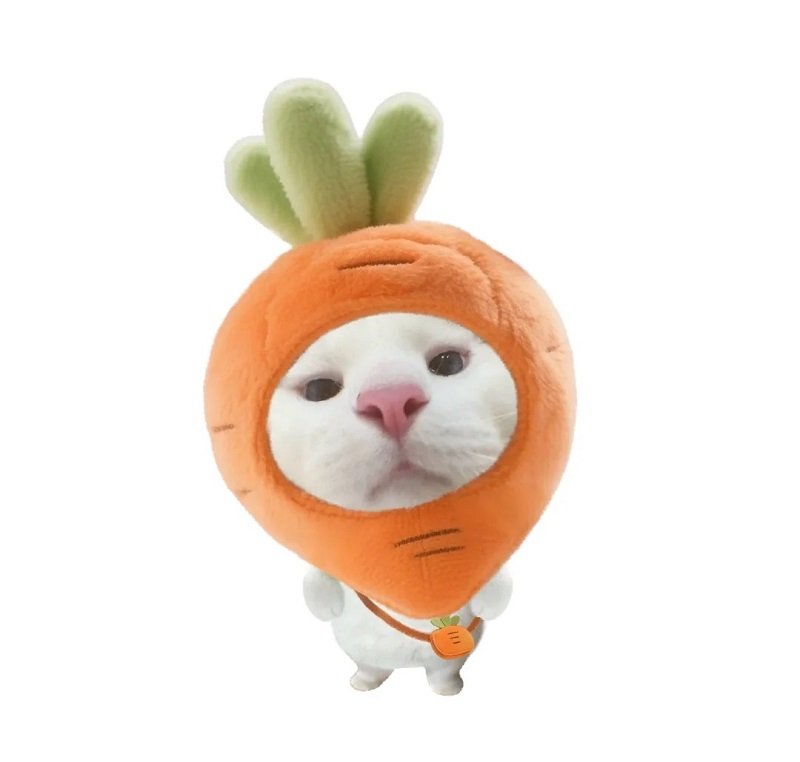 avatar nhóm 6 người nữ vô tri 20