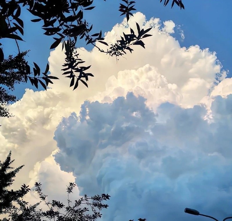 avatar phong cảnh chill 1