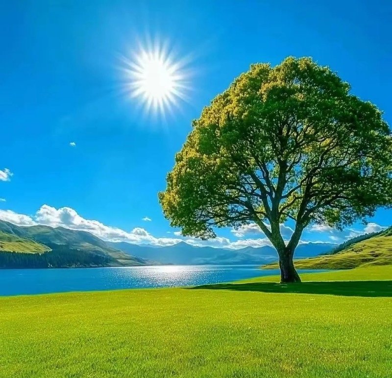 avatar phong cảnh chill 15