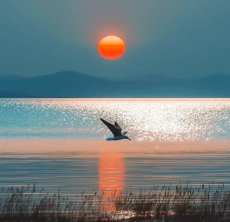 avatar phong cảnh chill 22