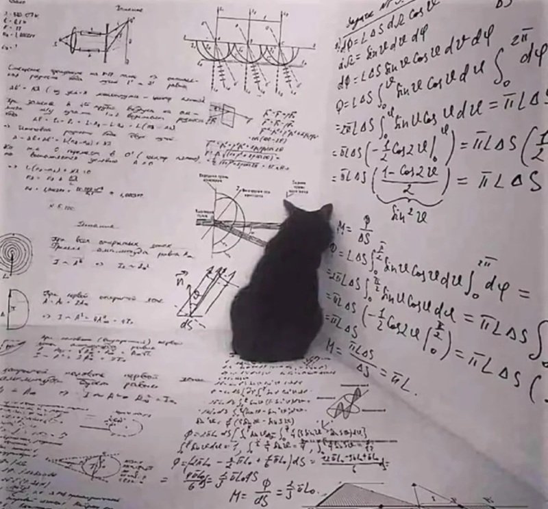 avatar toán học 1