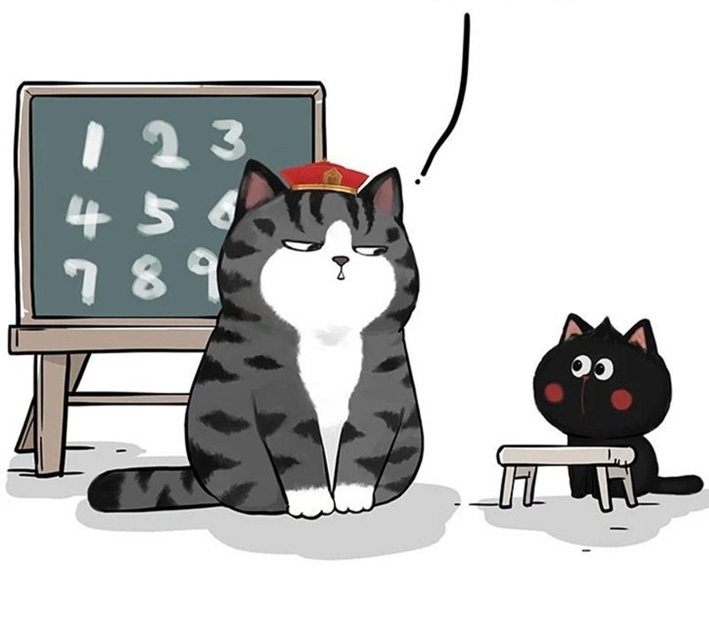 avatar toán học 7