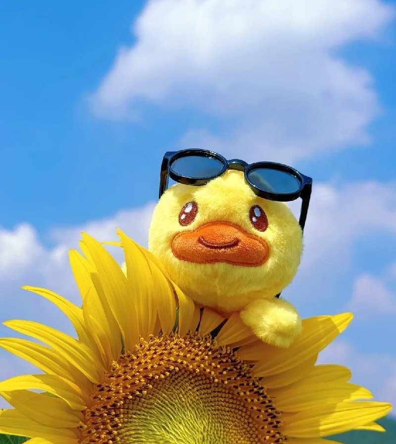 avatar vịt vàng vô tri 1