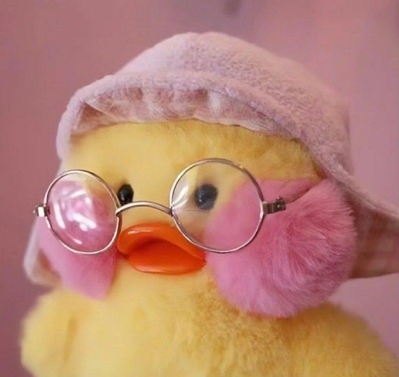 avatar vịt vàng vô tri 11