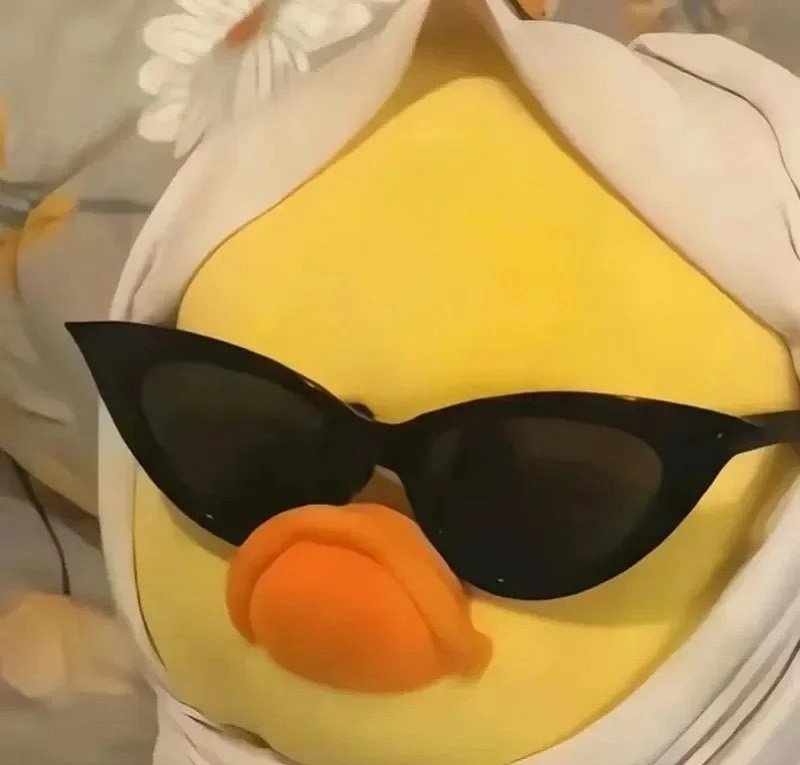 avatar vịt vàng vô tri 14