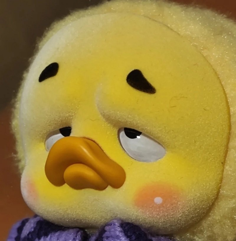 avatar vịt vàng vô tri 15