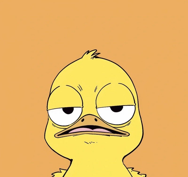 avatar vịt vàng vô tri 17