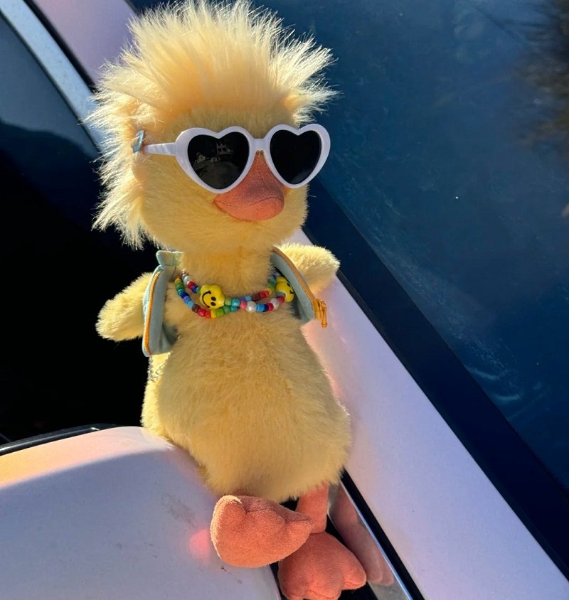 avatar vịt vàng vô tri 21