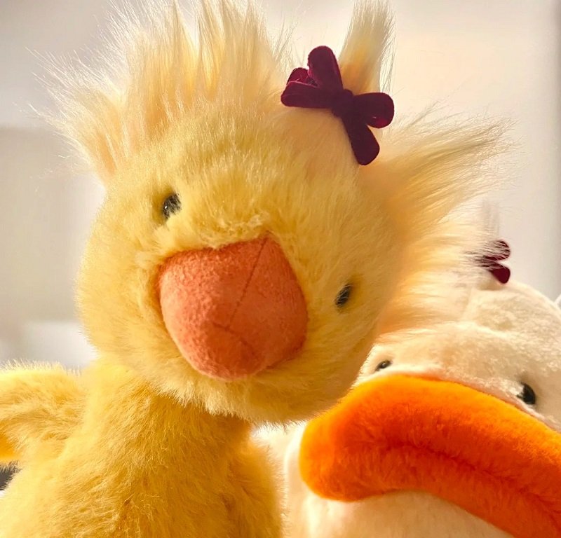 avatar vịt vàng vô tri 6