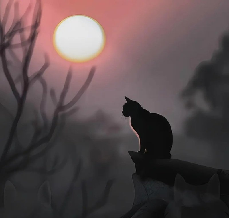 avatar vô tri buồn 9