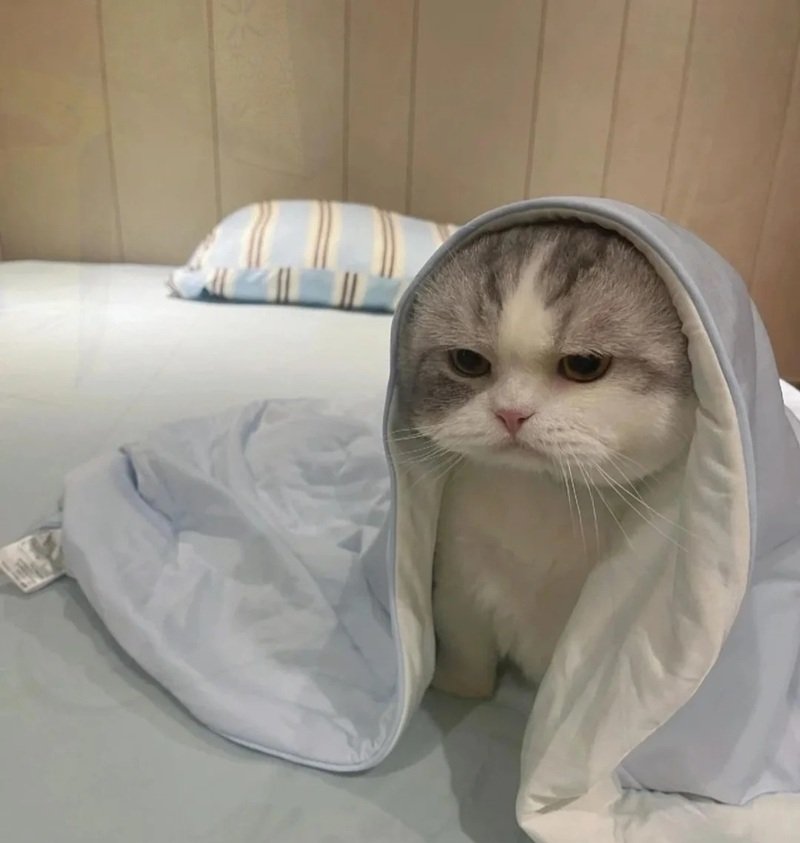 avatar vô tri buồn ngủ 9