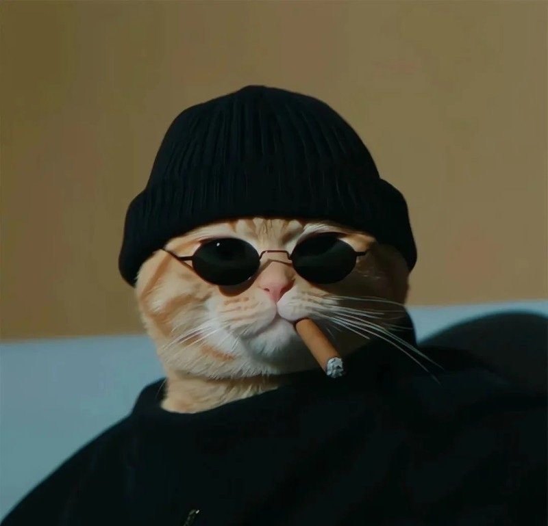 avatar vô tri con trai 4