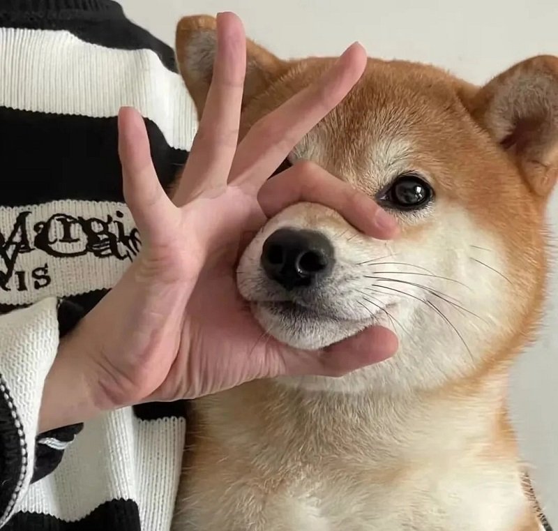 avatar vô tri hài hước 9