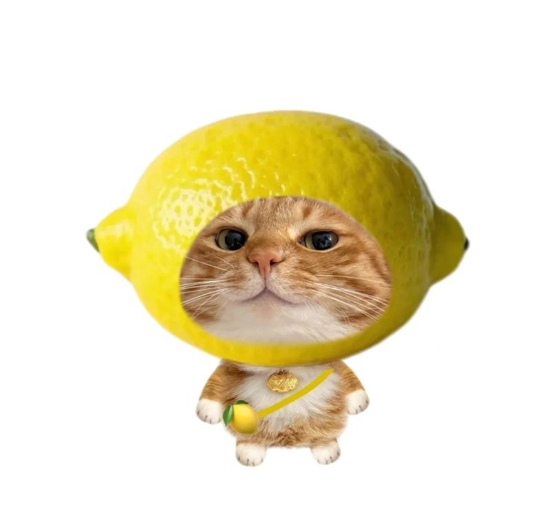 avatar vô tri mèo meme 3