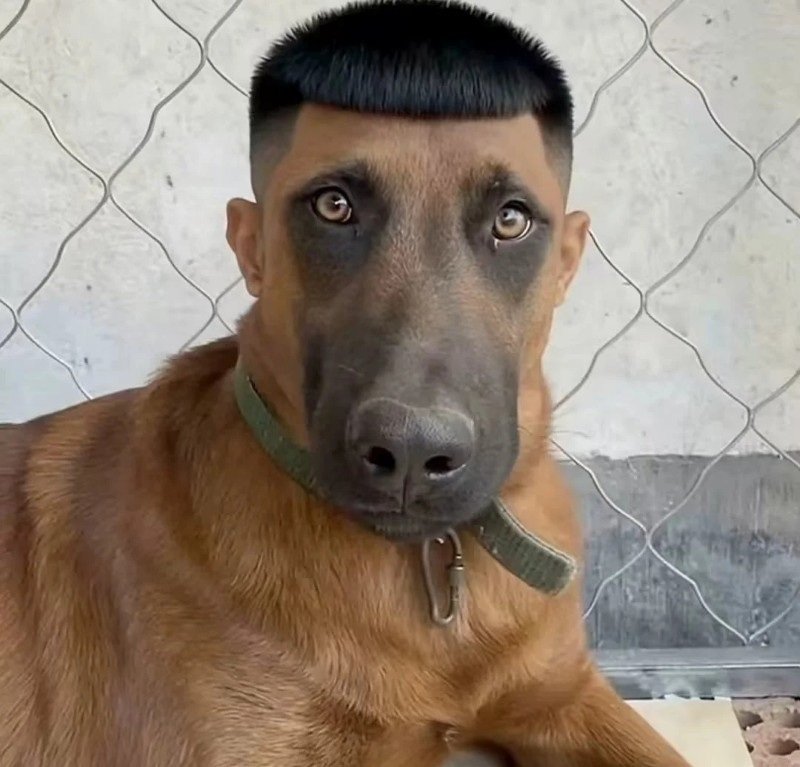 avatar vô tri ngầu 4