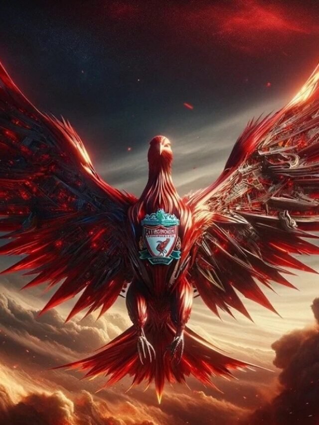 cropped-avatar-bong-da-dep-24.jpg