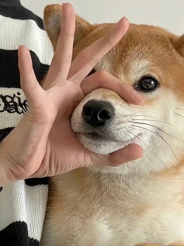 cropped-hinh-nen-meme-33.jpg