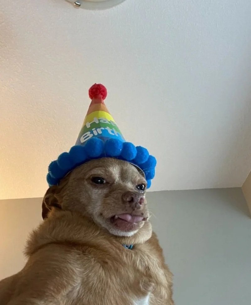 happy birthday meme 16