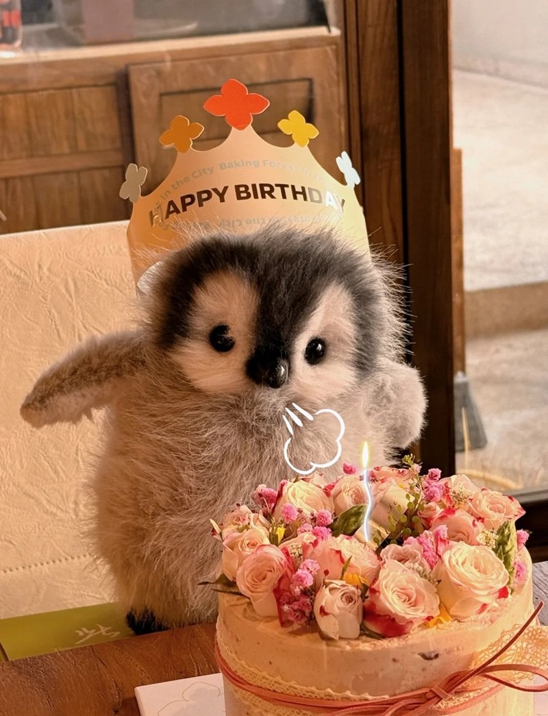 happy birthday meme 36