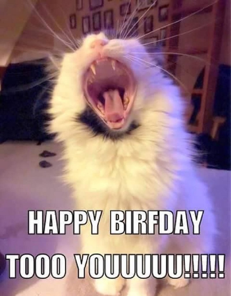 happy birthday meme 4