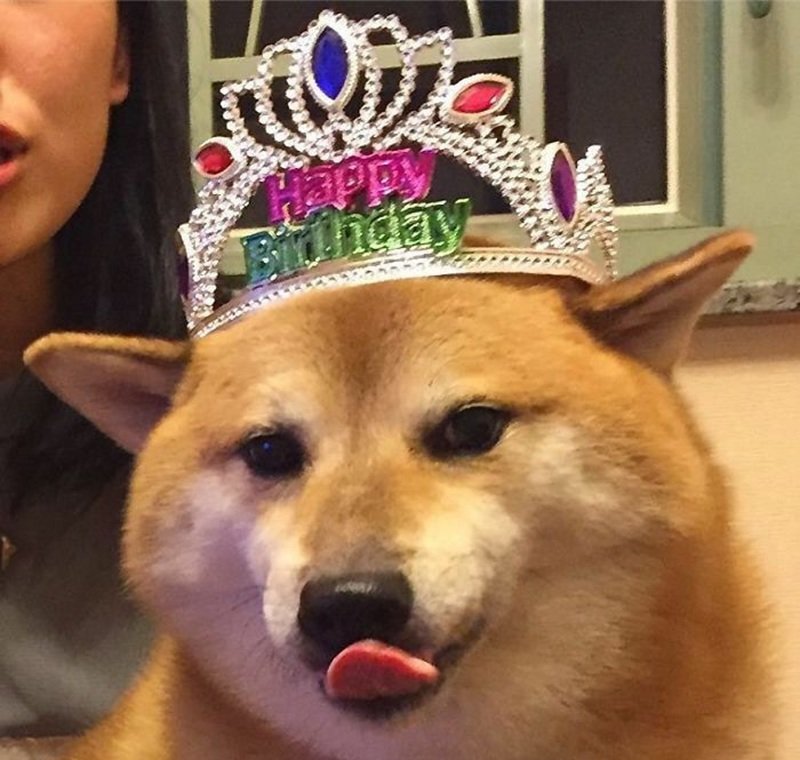 happy birthday meme 5