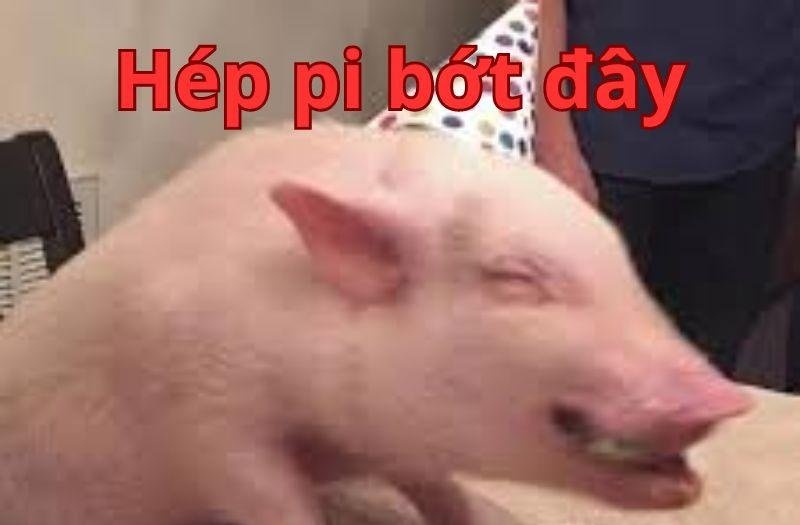 happy birthday meme 8