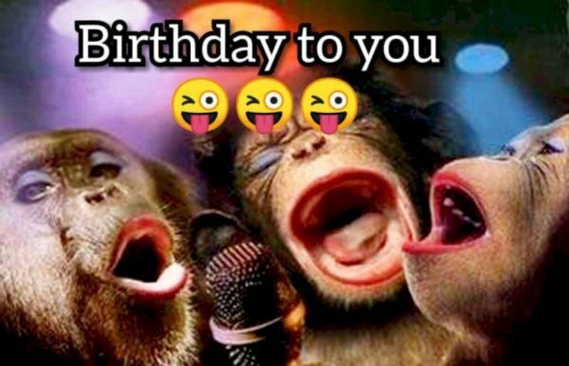 happy birthday meme 9