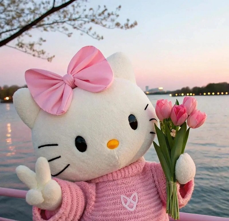 hello kitty hình ảnh cute avatar vô tri 1