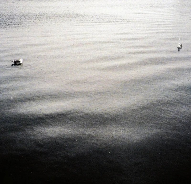 hình avatar buồn cô đơn 6