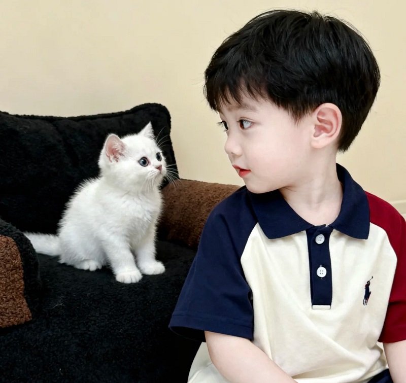 hình baby couple cute