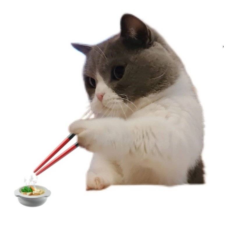 meme avatar mèo ngáo 11