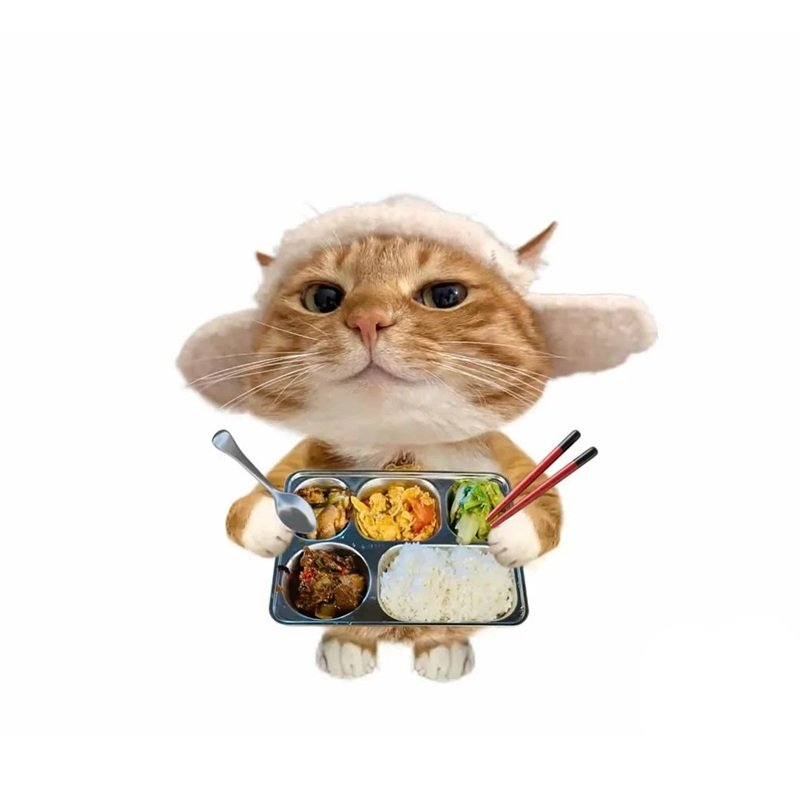 meme avatar mèo ngáo 2