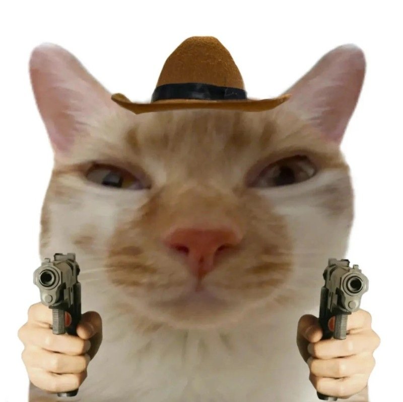 meme avatar mèo ngáo 3