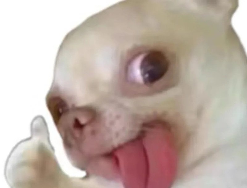 meme hài hước 10