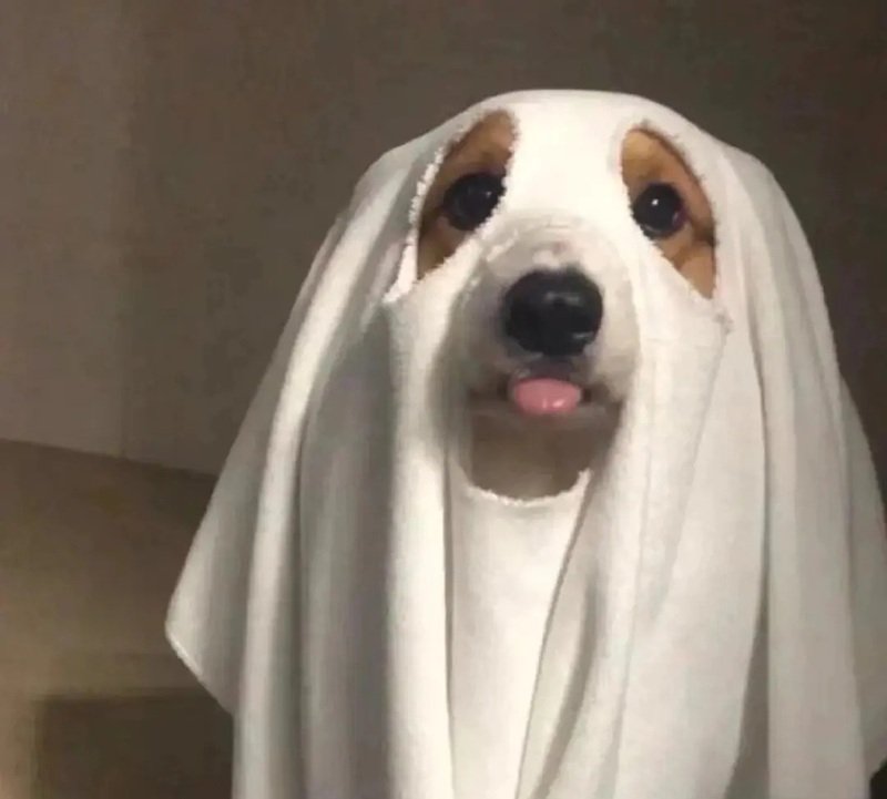 meme hài hước 13