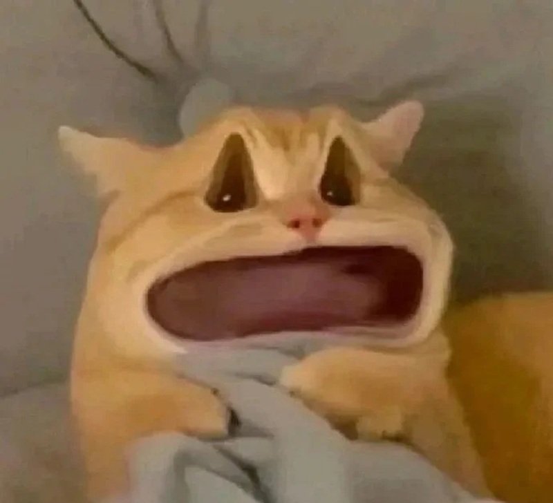 meme hài hước 18