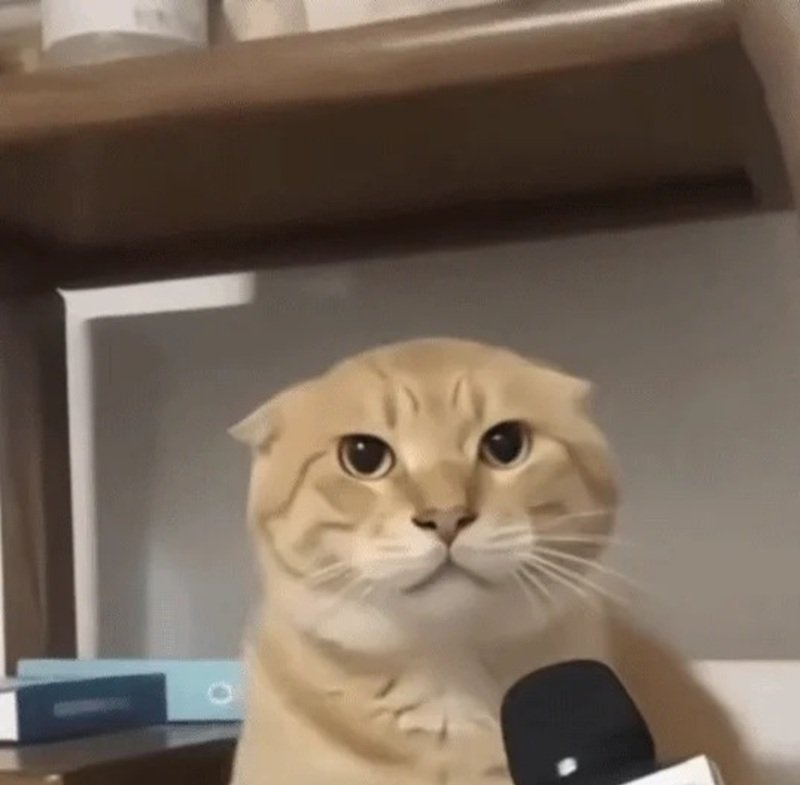 meme hài hước 20