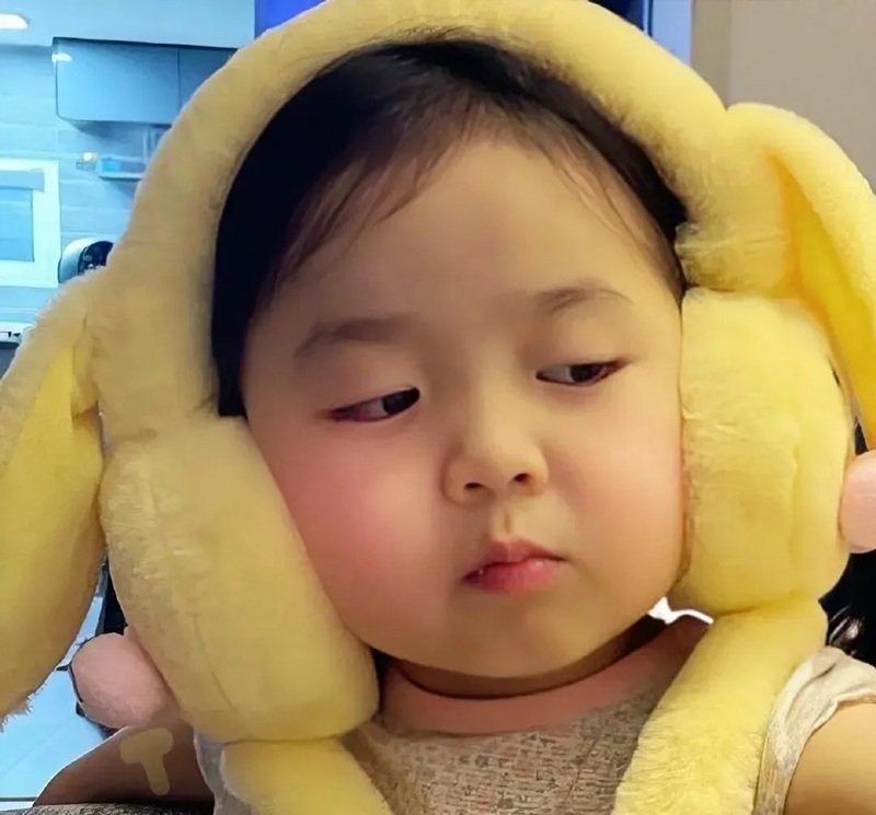 meme hài hước 27