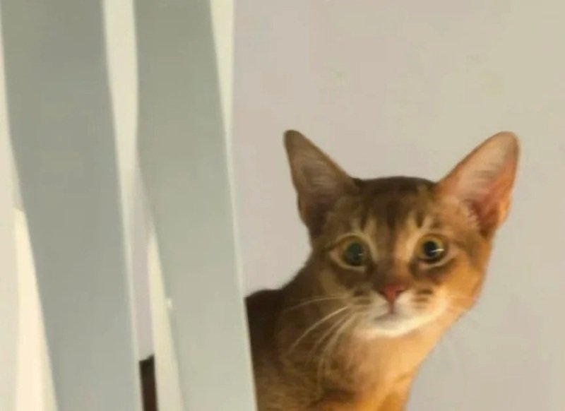 meme hài hước 30